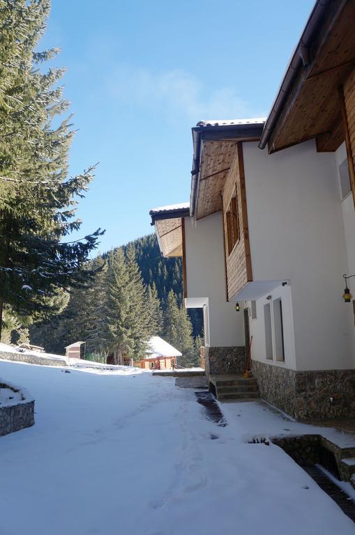 Boriki Complex Villa Pamporovo Exteriör bild